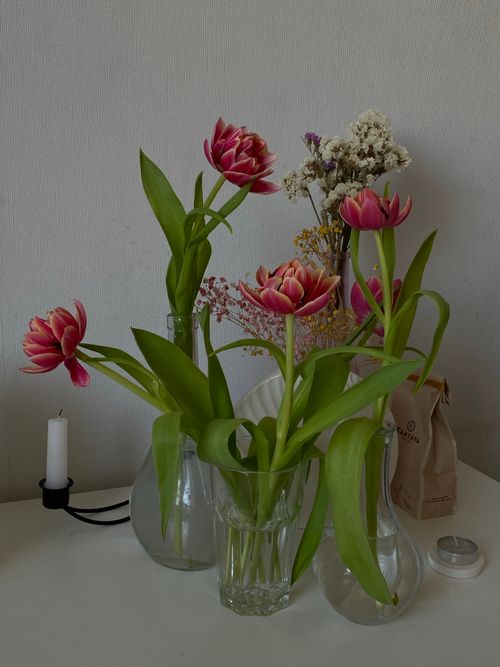 Free Stylish setup with tulips, dry flowers, glass vases, and candle on white tabletop, perfect for interior decor. Stock Photo