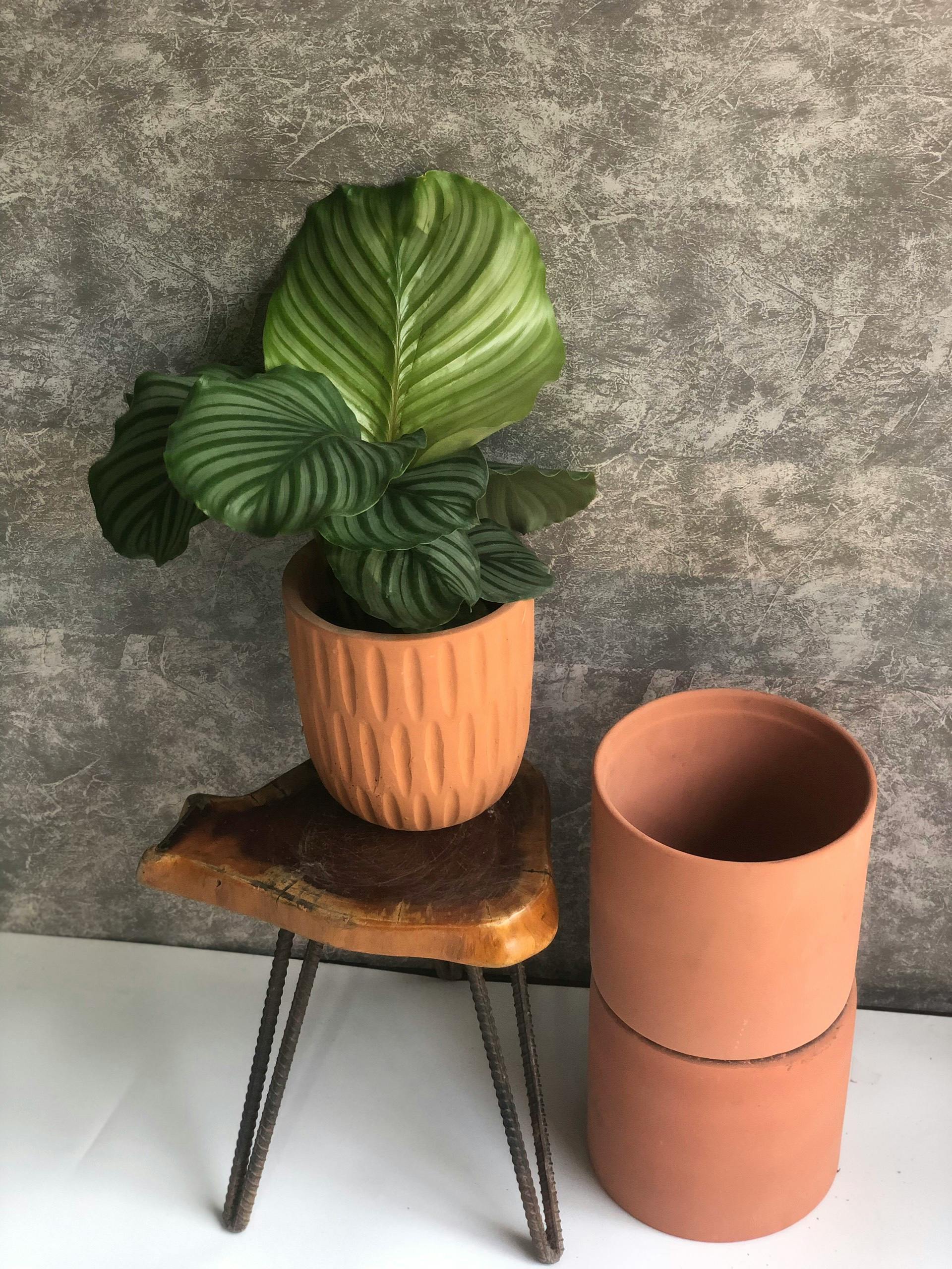 Discover the Convenience of a Heavy-Duty Plant Roller: Transform Your Gardening Game