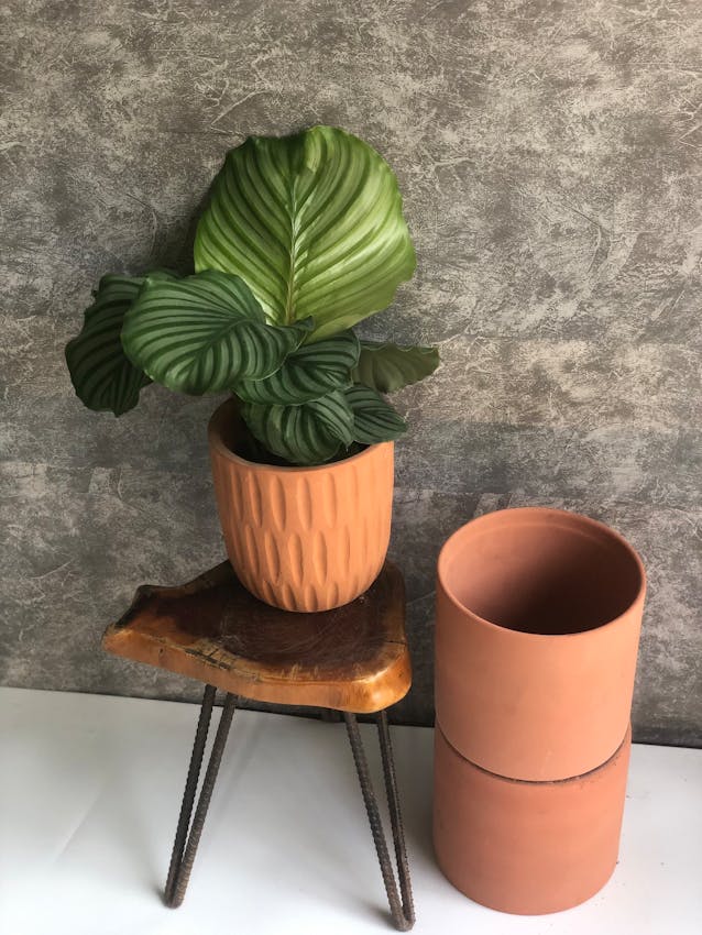 Discover the Convenience of a Heavy-Duty Plant Roller: Transform Your Gardening Game