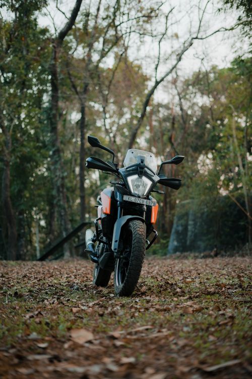 Free Motorcycle poised on fallen leaves in an autumn forest, showcasing adventure vibes. Stock Photo