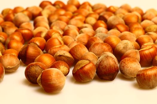 hazelnut
