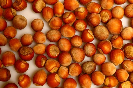 hazelnut
