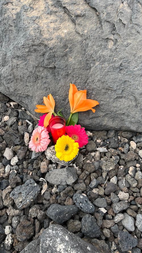 Free Flowers Stock Photo