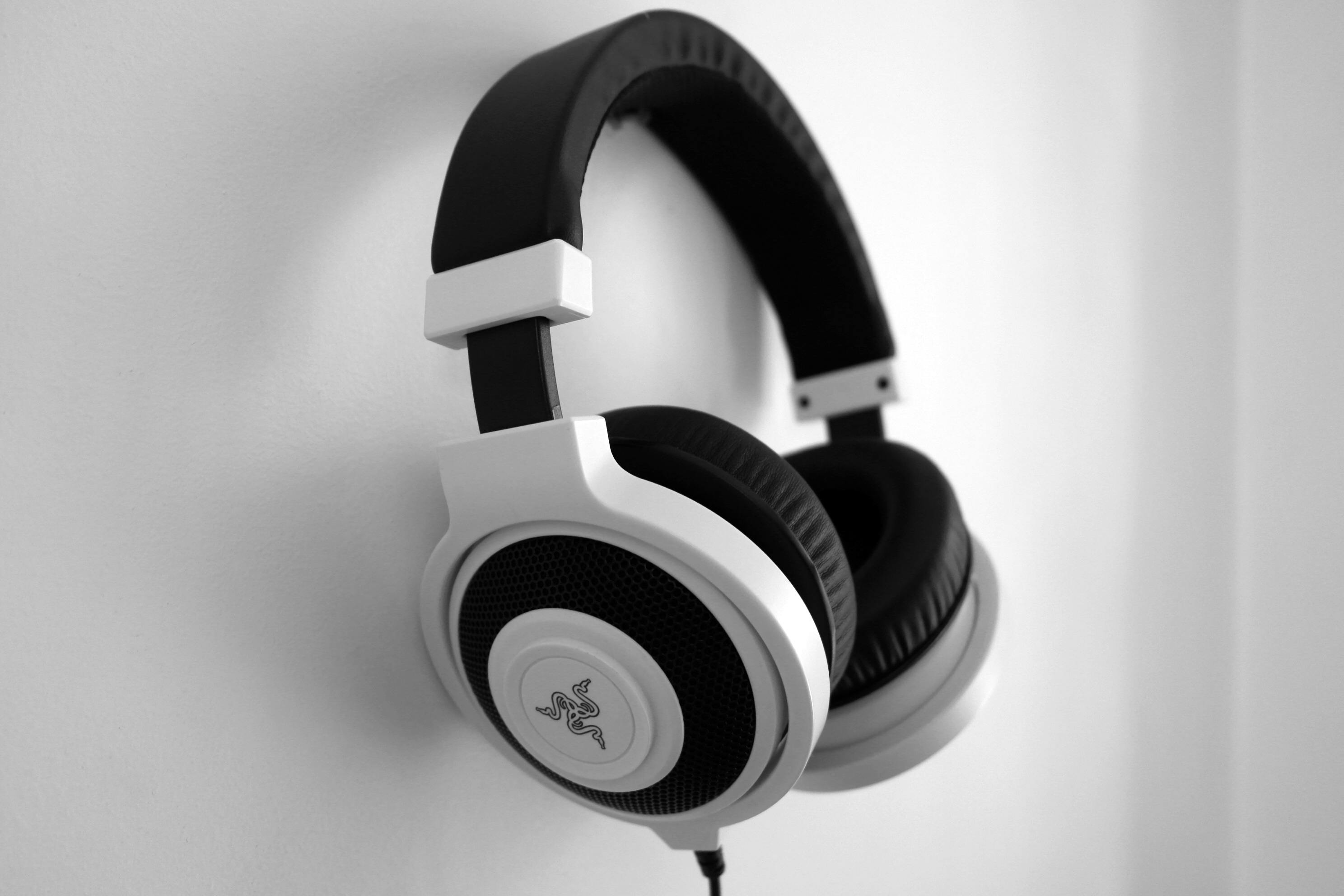 white and black headset