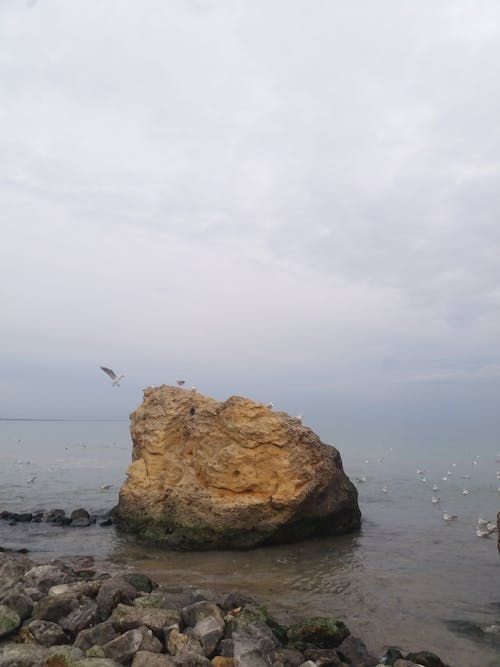 Безкоштовне стокове фото на тему «берег, вертикальні постріл, камінь»
