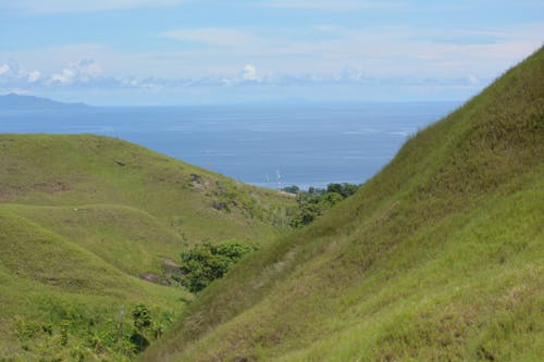 Kostnadsfri bild av grässlätt, grön kulle, havsstrand