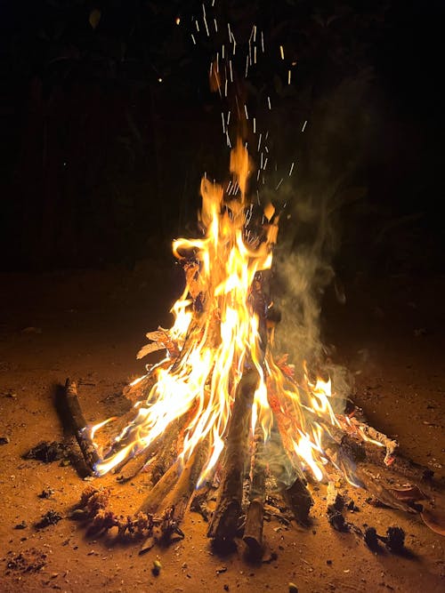모닥불, 밤, 불꽃의 무료 스톡 사진
