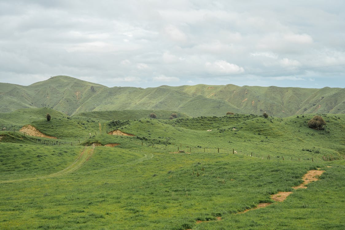 Scenic Landscape of Green Hills 