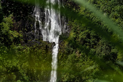 Безкоштовне стокове фото на тему «високий кут зору, Водоспад, дерева»