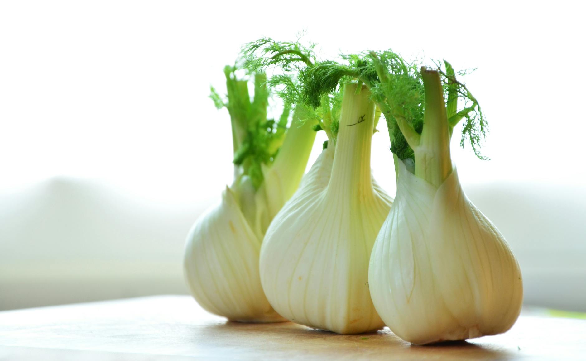 Fennel | 63 Amazing Pest And Insect Repellent For Plants You Should Know