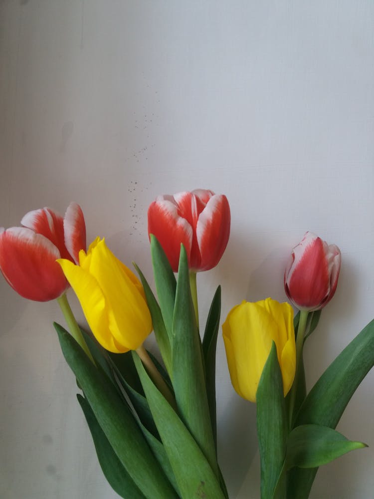 Red And Yellow Flowers