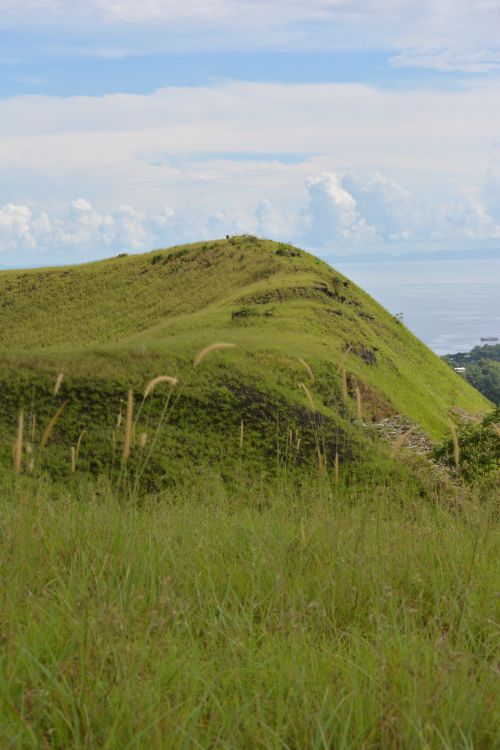 Free Lush green hill with tall grass, offering a scenic view of the ocean under a blue sky. Stock Photo