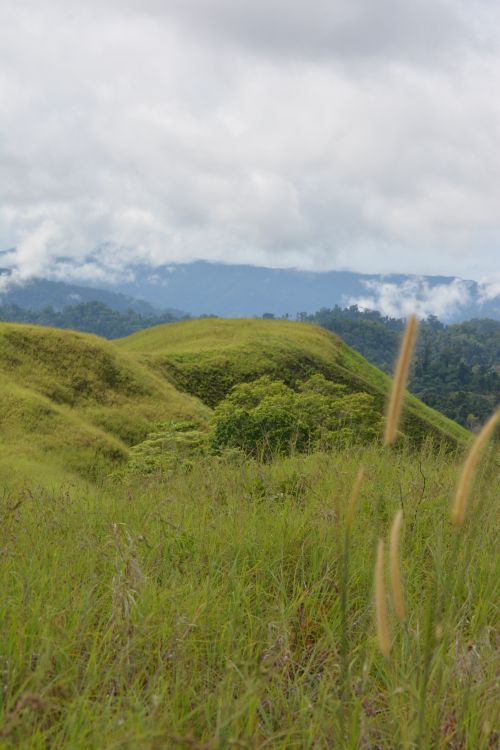 Free Stunning view of rolling green hills with mountainous backdrop and cloudy sky. Stock Photo