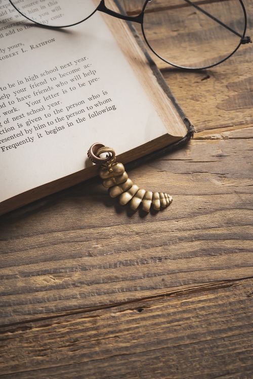 Free A wooden table with an open book, eyeglasses, and a golden spiral pendant. Stock Photo
