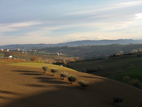 Základová fotografie zdarma na téma abruzzi, adriatica, alba