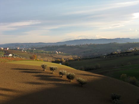 Scenic view of rolling hills and olive trees in the Italian countryside at sunset.