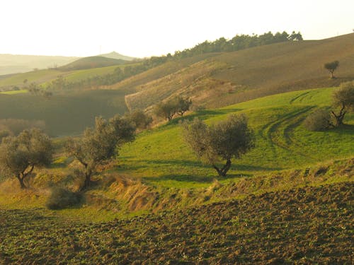 Kostnadsfri bild av abruzzi, adriatica, alba