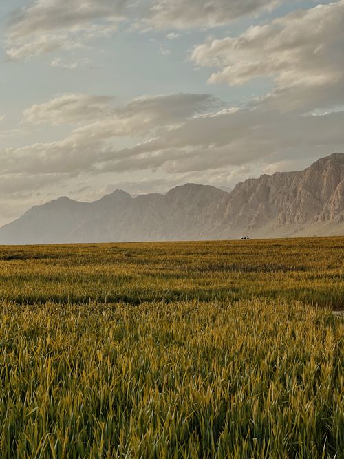 Free Scenic view of lush cropland beneath rocky mountains under a cloudy evening sky. Stock Photo