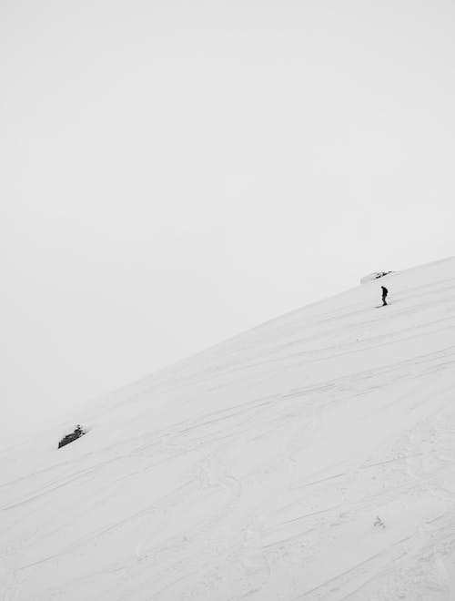 Základová fotografie zdarma na téma černobílý, dovolená, jednobarevný