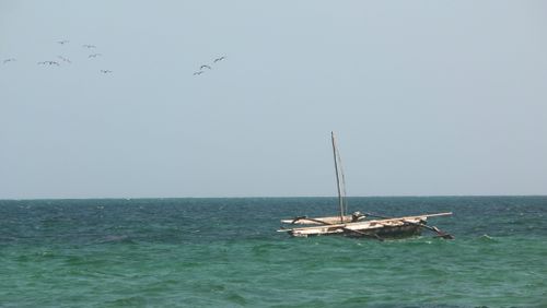 Free Open sea Stock Photo