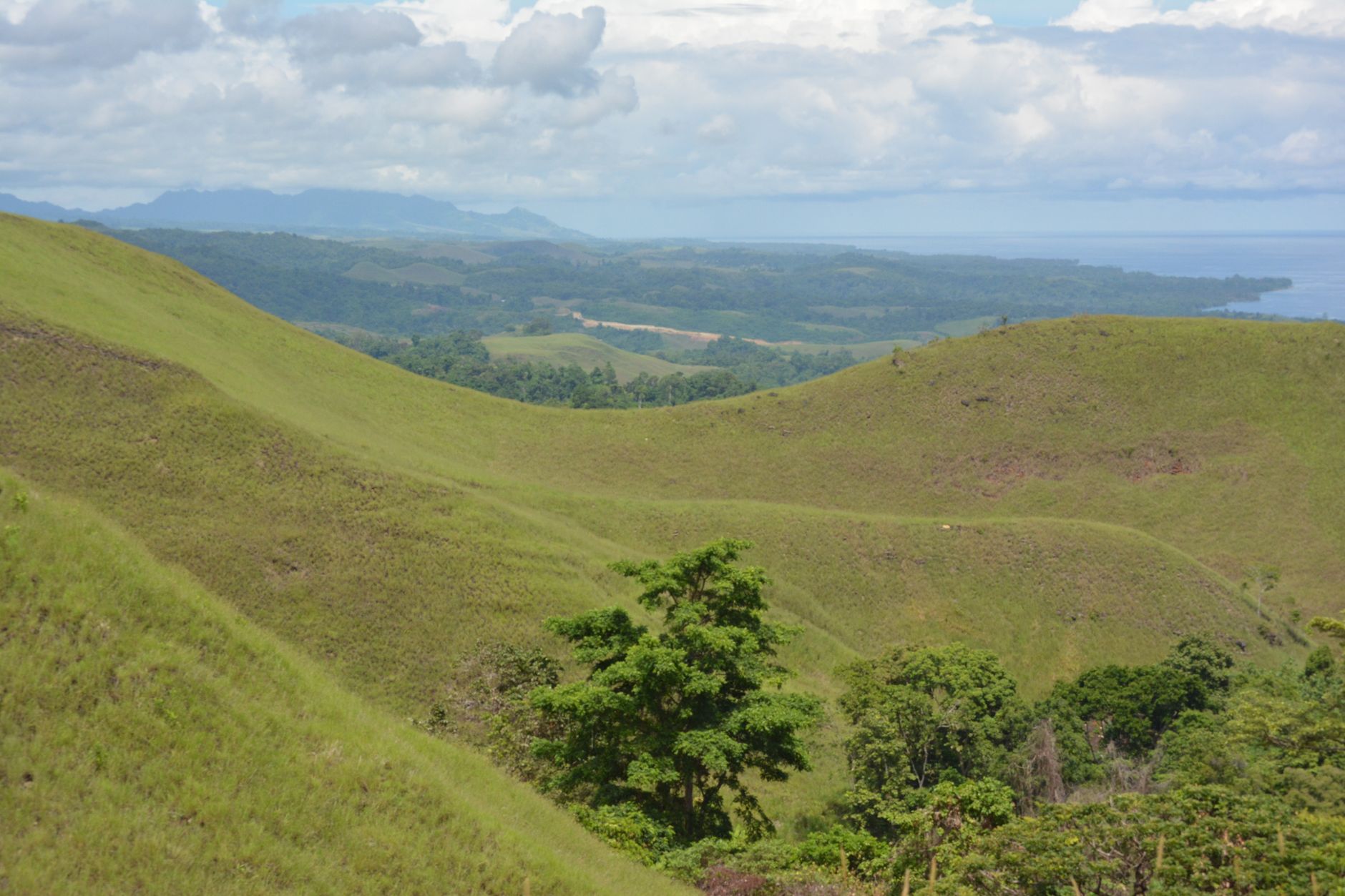 Expansive view of green hills under a bright sky, capturing the essence of a serene countryside landscape.