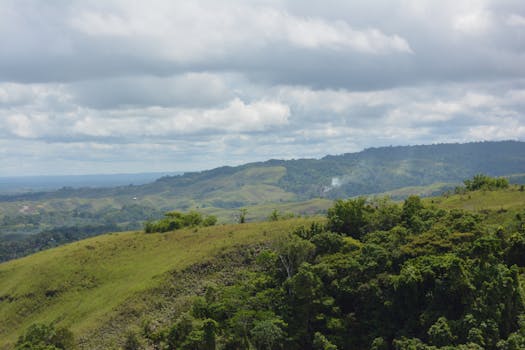 Scenic view of rolling green hills and cloudy sky, perfect for nature lovers.