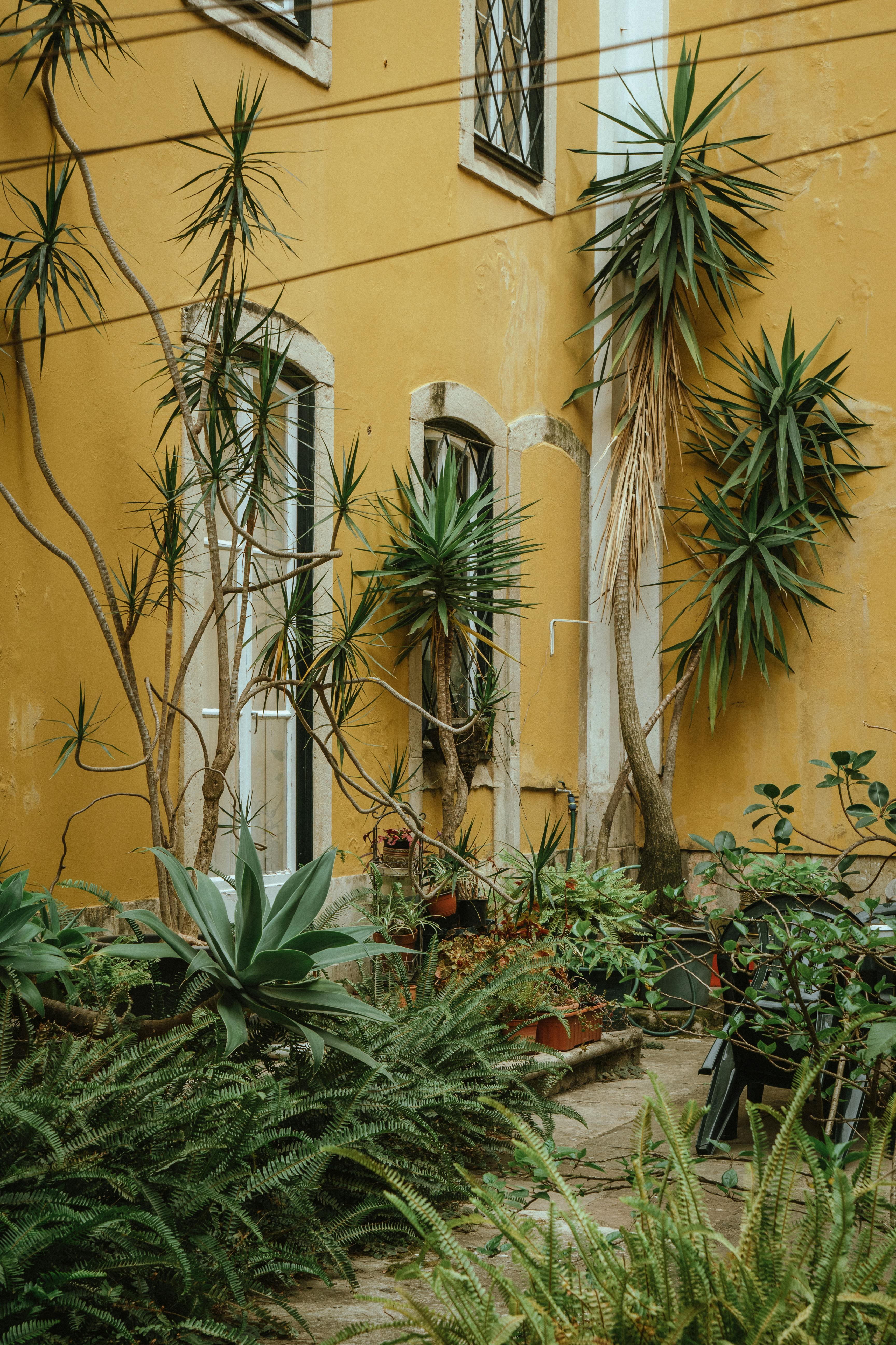 Yellow-walled courtyard with lush greenery in Lisbon, Portugal, showcasing urban greenery.