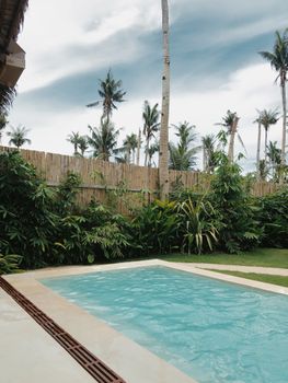 Serene swimming pool surrounded by tropical plants and palm trees, offering a relaxing outdoor escape.