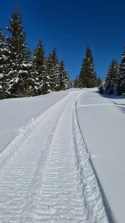 Footpath in Snow