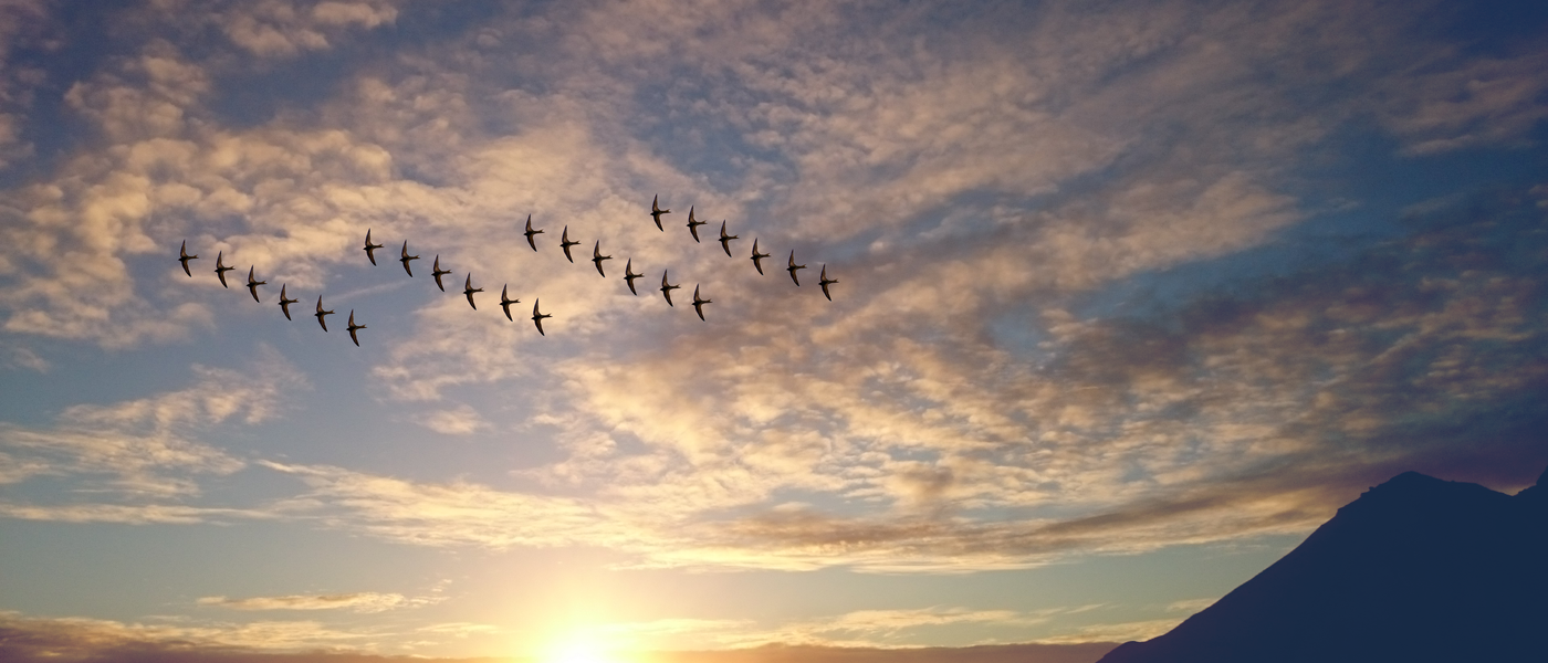 IT professionals migrating Hyper-V virtual machines to Microsoft Azure cloud infrastructure, following a detailed Hyper-V migration to Azure guide.