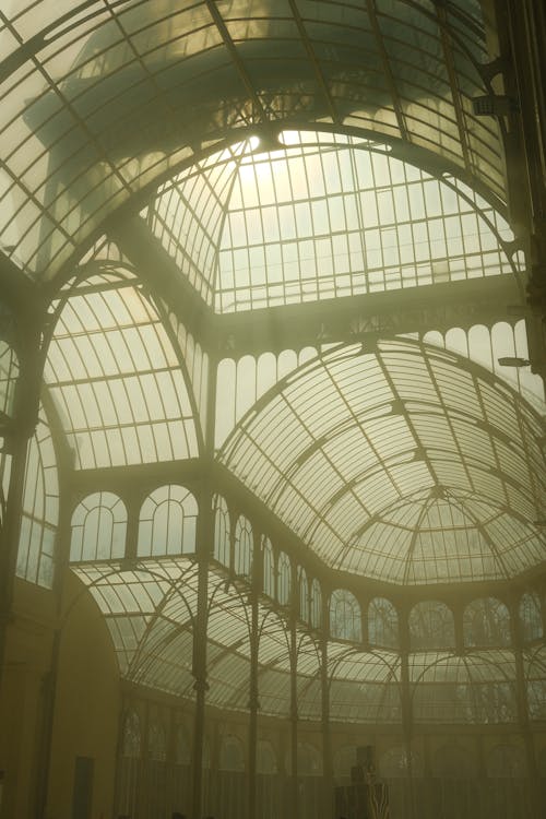 Sunlight Shining through Glass Ceiling of Abandoned Greenhouse