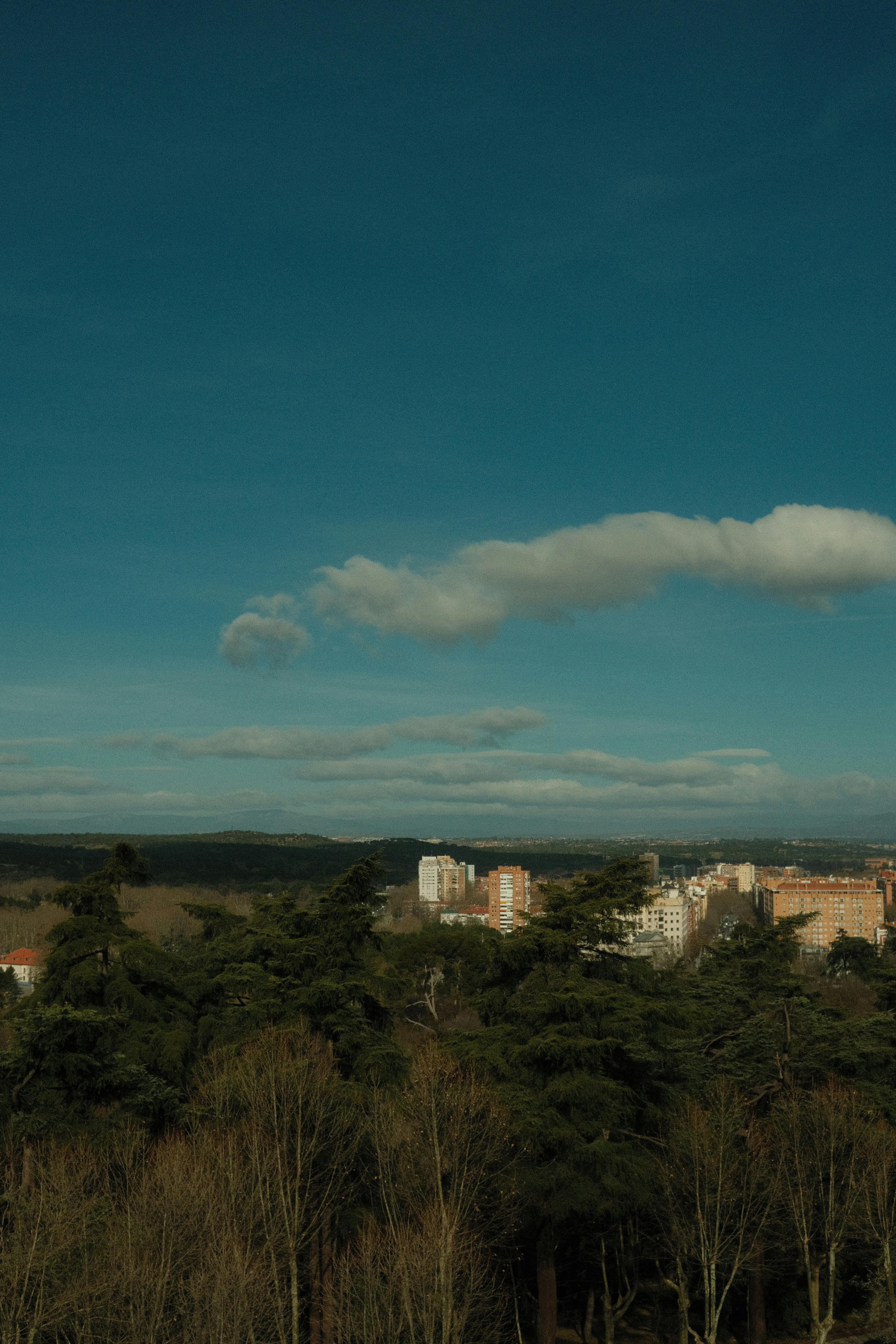 Cricket stadium under lights representing an international Test match atmosphere