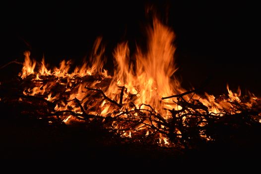 Photo of a Campfire at Night