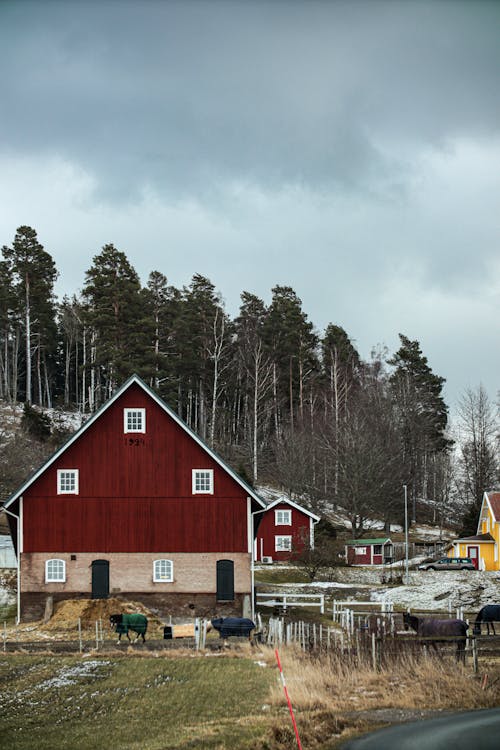 Rural Landscape with Wooden Houses
