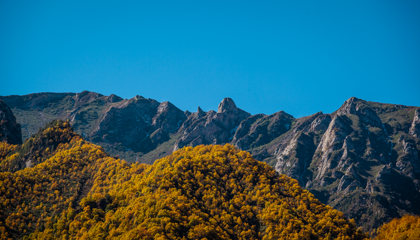 Scenic view of a mountain range adorned with vibrant autumn foliage under a clear blue sky.