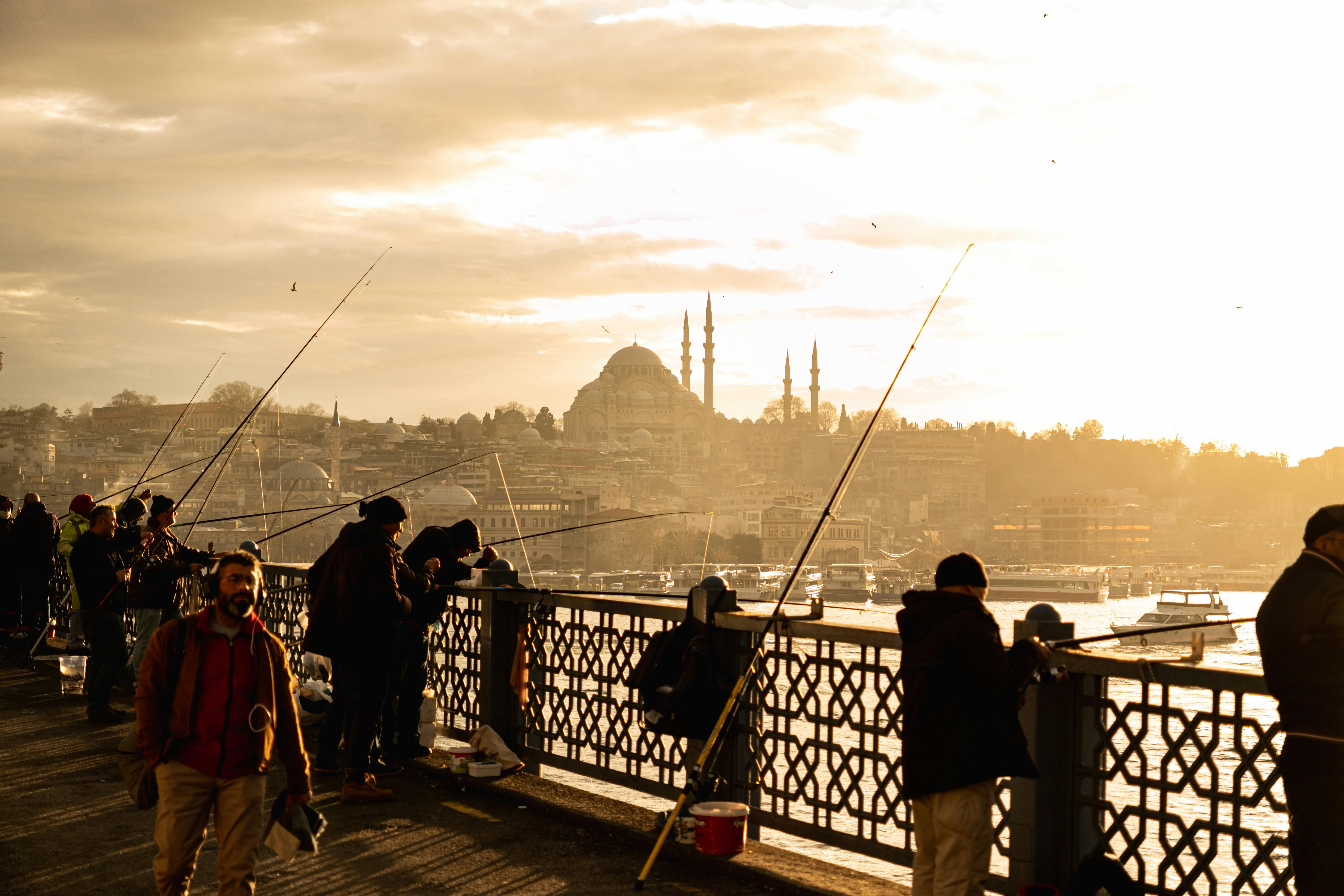 Gratuit Photos gratuites de activité, animé, architecture Photos