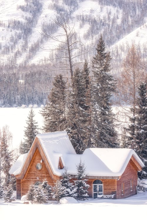 キャビン, 冬, 垂直ショットの無料の写真素材