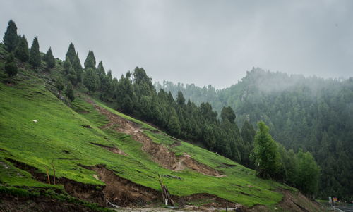 Free A scenic view of a lush green hillside covered with dense trees shrouded in misty fog. Stock Photo