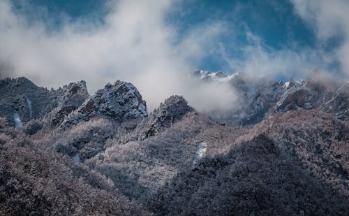 Foggy Landscape of a Mountain Range 