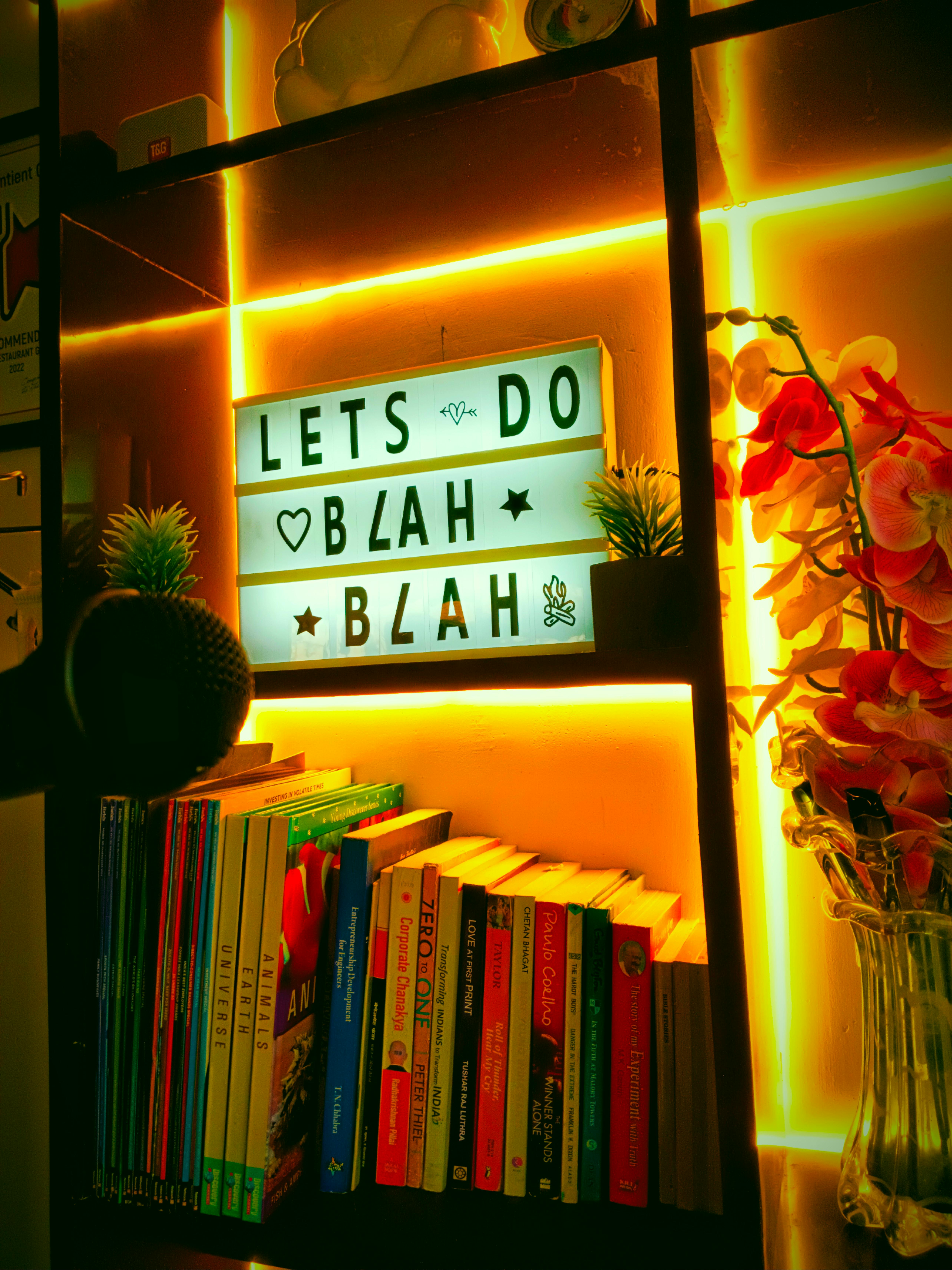Free A bookshelf with neon lighting featuring a humorous sign, books, and decorative flowers. Stock Photo
