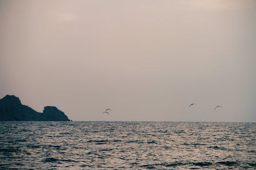 平静的海面, 海, 馬來西亞 的 免费素材图片