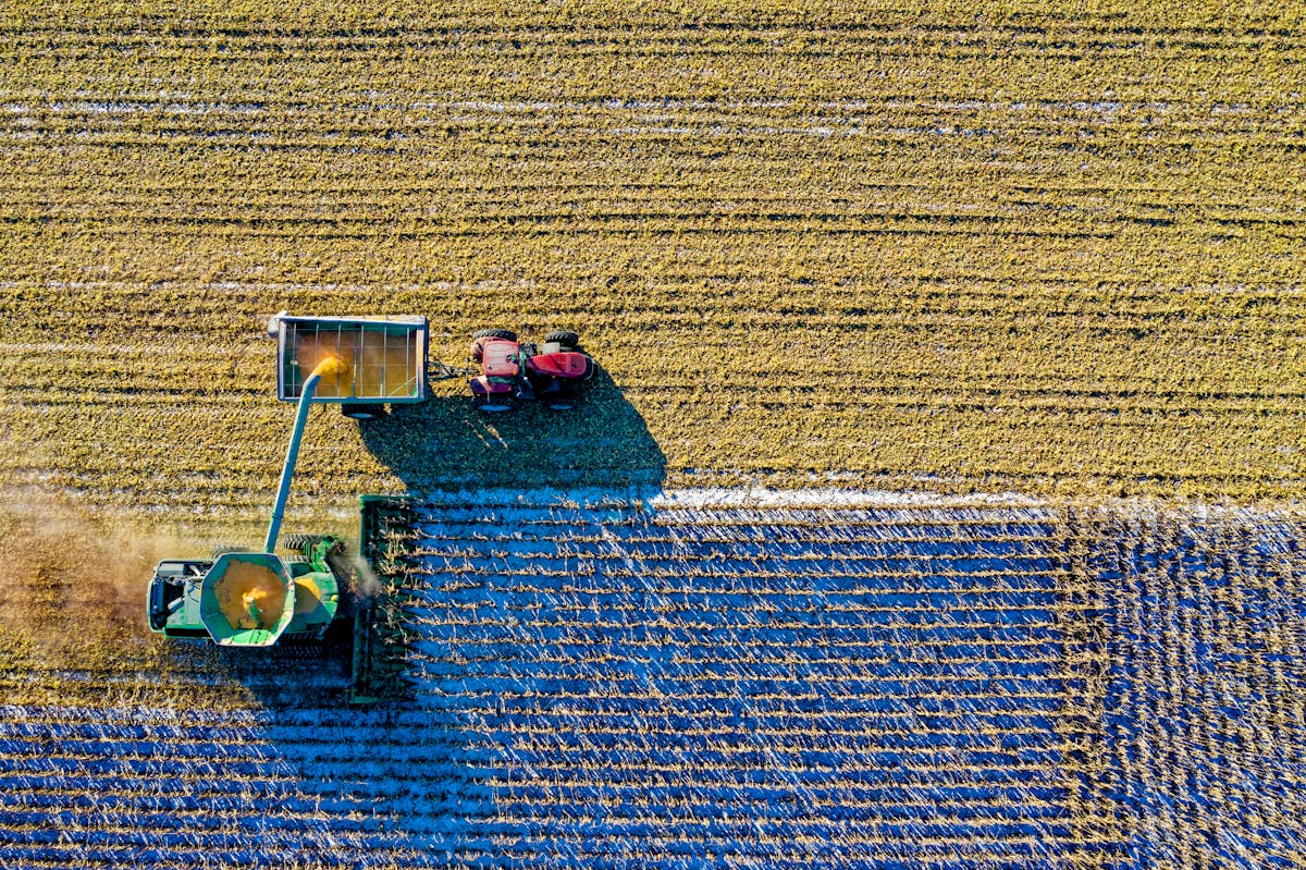 Agricultural supply chain optimization and post-harvest handling