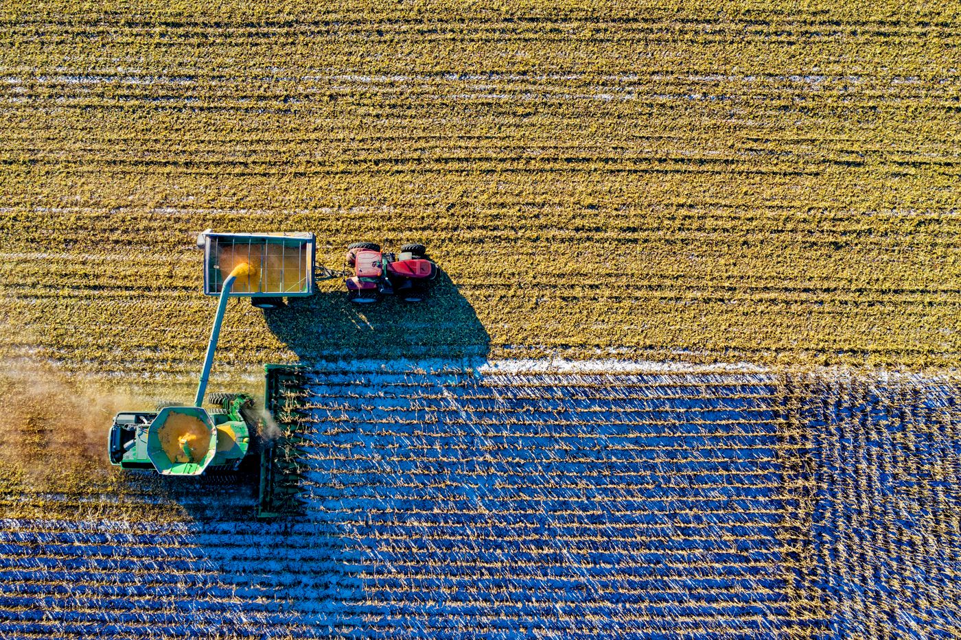 Agricultural field and crop production