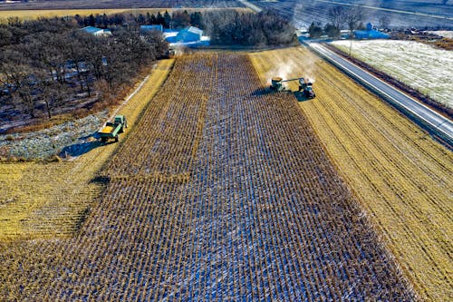 Farm Tractor Harvesting on Field