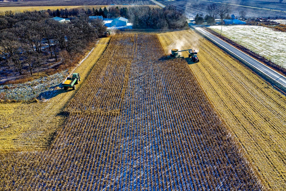 Farm Tractor Harvesting on Field