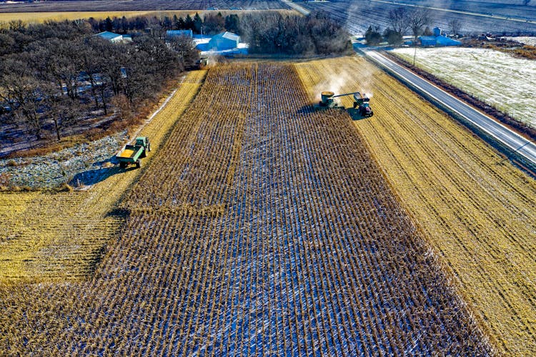 Farm Tractor Harvesting On Field