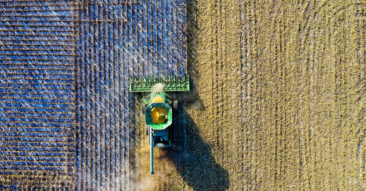 How much is a bushel of corn worth