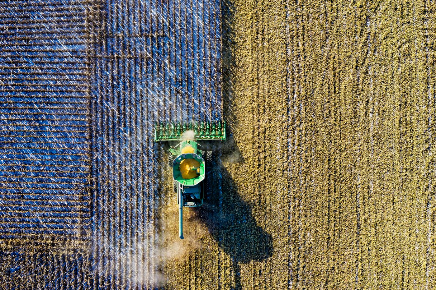 Harvest and storage tools