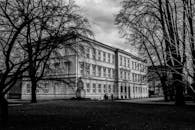 在宁静的公园中，优雅的历史建筑被无叶树木环绕，以单色拍摄呈现