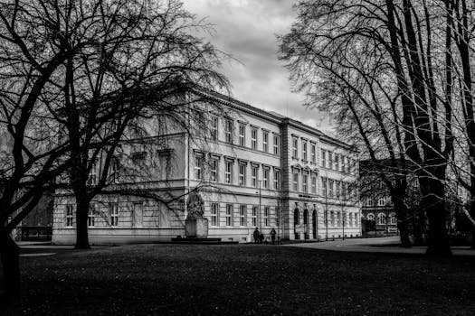 在宁静的公园中，优雅的历史建筑被无叶树木环绕，以单色拍摄呈现